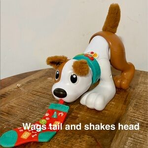 Dog toy